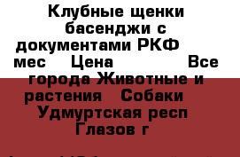 Клубные щенки басенджи с документами РКФ - 2,5 мес. › Цена ­ 20 000 - Все города Животные и растения » Собаки   . Удмуртская респ.,Глазов г.